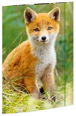 Roth Tierische Zeichenmappen A3 Fuchs
