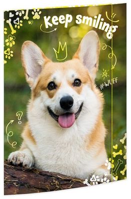 Roth Tierische Zeichenmappen A3 Corgi