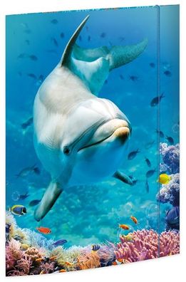 Roth Tierische Zeichenmappen A3 Dolphin