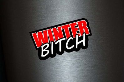 1 x Aufkleber Winterbitch Winter Sticker Autoaufkleber Sticker Tuning Shocker