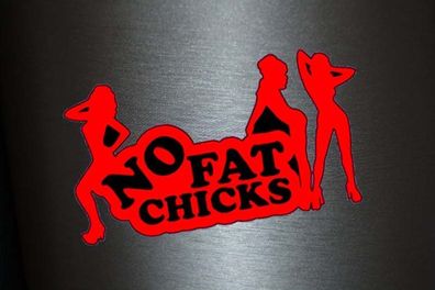 1 x Aufkleber No Fat Chicks Girls Gogo Sexy Sticker Tuning Autoaufkleber Fun Gag