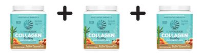 3 x Sunwarrior Collagen Building Protein Peptides (500g) Salted Caramel