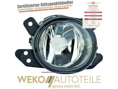 Nebelscheinwerfer links Diederichs 1681089 für Mercedes-benz