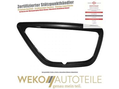 Rahmen, Nebelscheinwerfer links Diederichs 1415161 für FORD