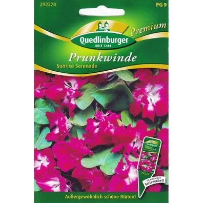 Prunkwinde, Sunrise Serenade