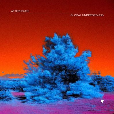 Various Artists, Various: Various Artists - Global Underground