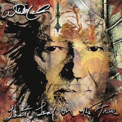 Willie Nelson: Willie Nelson: Last Leaf On The Tree (Amber Swi
