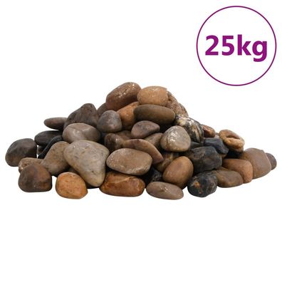 vidaXL Polierte Kiesel 25 kg Mehrfarbig 2-5 cm