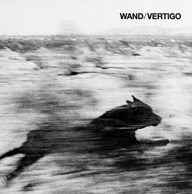 Wand: Wand: Vertigo - Drag City, - (LP / V)