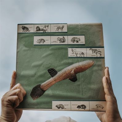 Cotton Jones: The River Strumming - 375 Media - (LP / T)