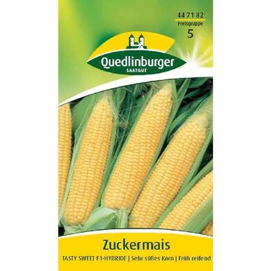 Zuckermais, Tasty Sweet F1-Hybride
