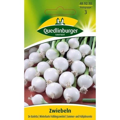 Zwiebel, De Barletta