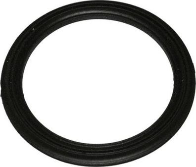 Wolf Dichtring für Schlauch DN63/52 Beutel a 10 St. 2577361