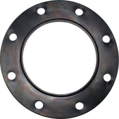Wolf Dichtung Handlochdeckel SEM-1-300 BN 248338199