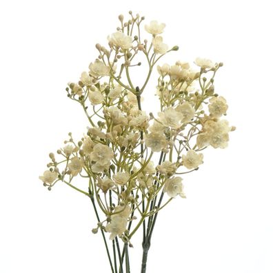 Schleierkraut Lachsfarben 53 cm - Kunstblumen