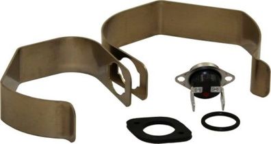 Wolf Abgastemperaturwächter 85Gr. C für CGW 8603058
