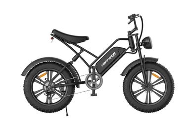 Mountain Trail Bike, E-Bike für Abenteuer, 48V 18Ah Akku 20“ fette Reifen