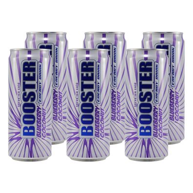 Booster Energy Drink Blueberry-Coconut (24 x 0,33L)