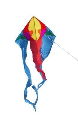 Elliot Drachen Flux Delta 200 x 600 cm rainbow rtf