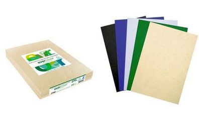 Exacompta Einbanddeckel Evercover, DIN A4, farbig sortiert (831000549)