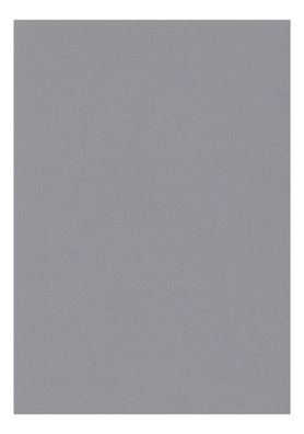 Clairefontaine Zeichenpapier A4 160g dunkelgrau 5B
