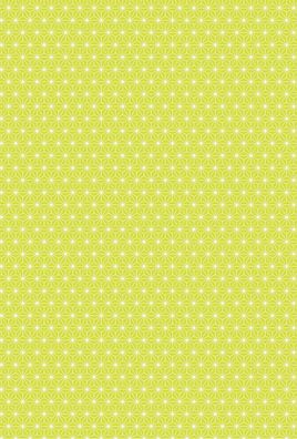 HEYDA 204776458 Motivkarton Starlight A4 (21 x 31 cm inkl. Codierleiste) lime