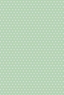 HEYDA 204771763 Motivkarton Starlight 50 x 70 cm mint