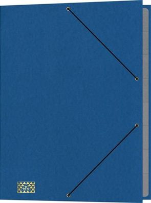 RNK Gummizugmappe 35x25cm blau 9 Fächer Sichtstanz.u. Registerschn