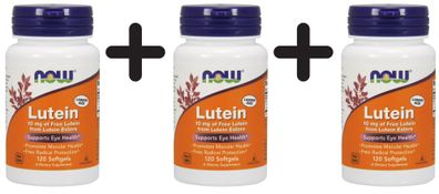 3 x NOW Foods Lutein, 10mg - 120 softgels