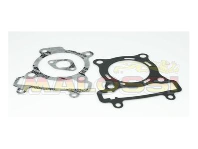 Malossi Top End Dichtungssatz
