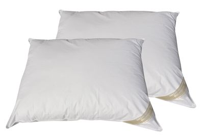 2 Stück Betten Hofmann Basic Allergiker Kopfkissen Polster 70x90 cm prall 1000 g