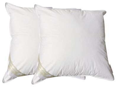 2 Stück Betten Hofmann Basic Allergiker Kopfkissen Faserkissen 65x65 cm 600 g