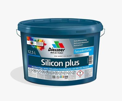 Diessner Silicon plus 5 Liter weiß