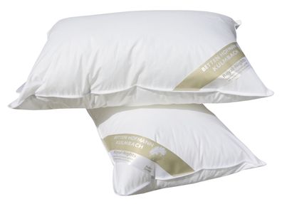 2 Stück Betten Hofmann Basic Allergiker Kleinkissen Faserkissen 40x60 cm 300 g