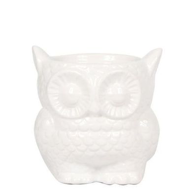 Kolibri Home | Eule Blumentopf - Weißer Keramik Ziertopf - ß9cm