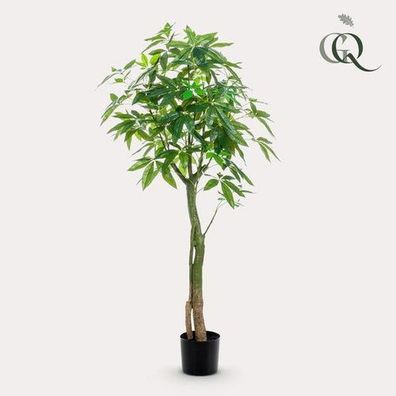 Kunstpflanze - Pachira Aquatica - Gléckskastanie - 150 cm