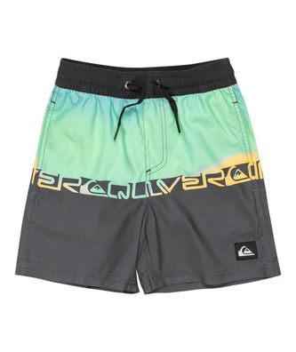 Quiksilver Kids Badeshort Everyday Straight summer green wordblock