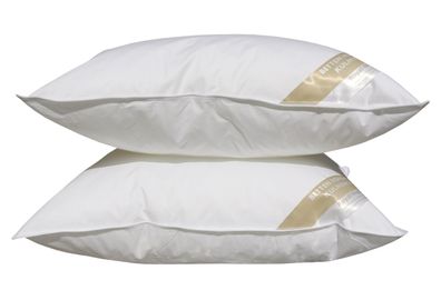 2 Stück Betten Hofmann Basic Allergiker Kopfkissen Japan 43x63 cm waschbar 300 g