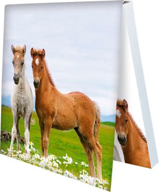 Gute Laune Klebezettel * Zwei Fohlen auf