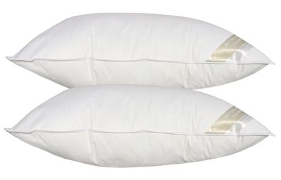 2 Stück Betten Hofmann Basic Allergiker Kopfkissen Faserkissen 50x75 cm 600 g