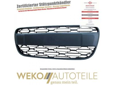 Kühlergitter Diederichs 3435045 passend für FIAT