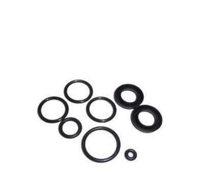O-Ring Kit New Legion Rex 2