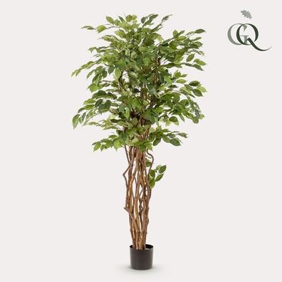 Ficus liana - Stiefmütterchenpflanze - Kunstpflanze - Zimmerpflanze - ?170cm