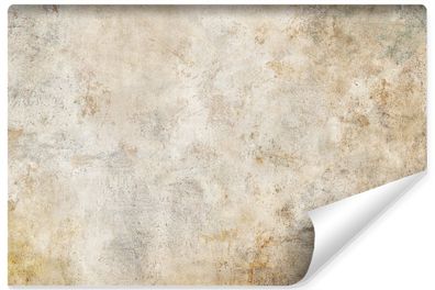 Muralo Vlies Selbstklebende Fototapete für Esszimmer BETON Retro Vintage Stil