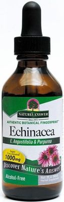 Echinacea Root - 60 ml