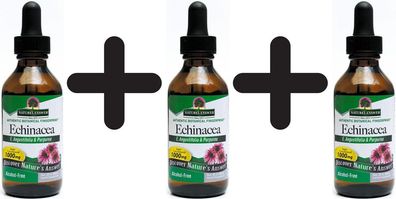 3 x Natures Answer Echinacea Root - 60 ml