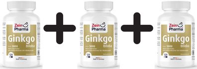 3 x Zein Pharma Ginkgo Biloba 5000, 100mg - 120 caps