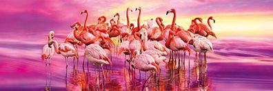 Flamingo Tanz
