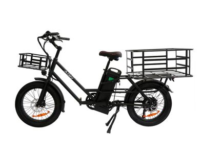 E-Cargo Bike 750W Motor 300 kg Traglast 48V 20.8Ah Akku Elektro-Lastenfahrräder