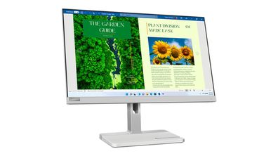 Lenovo L24m-40 - LED-Monitor - 61 cm (24") (24" sichtbar)